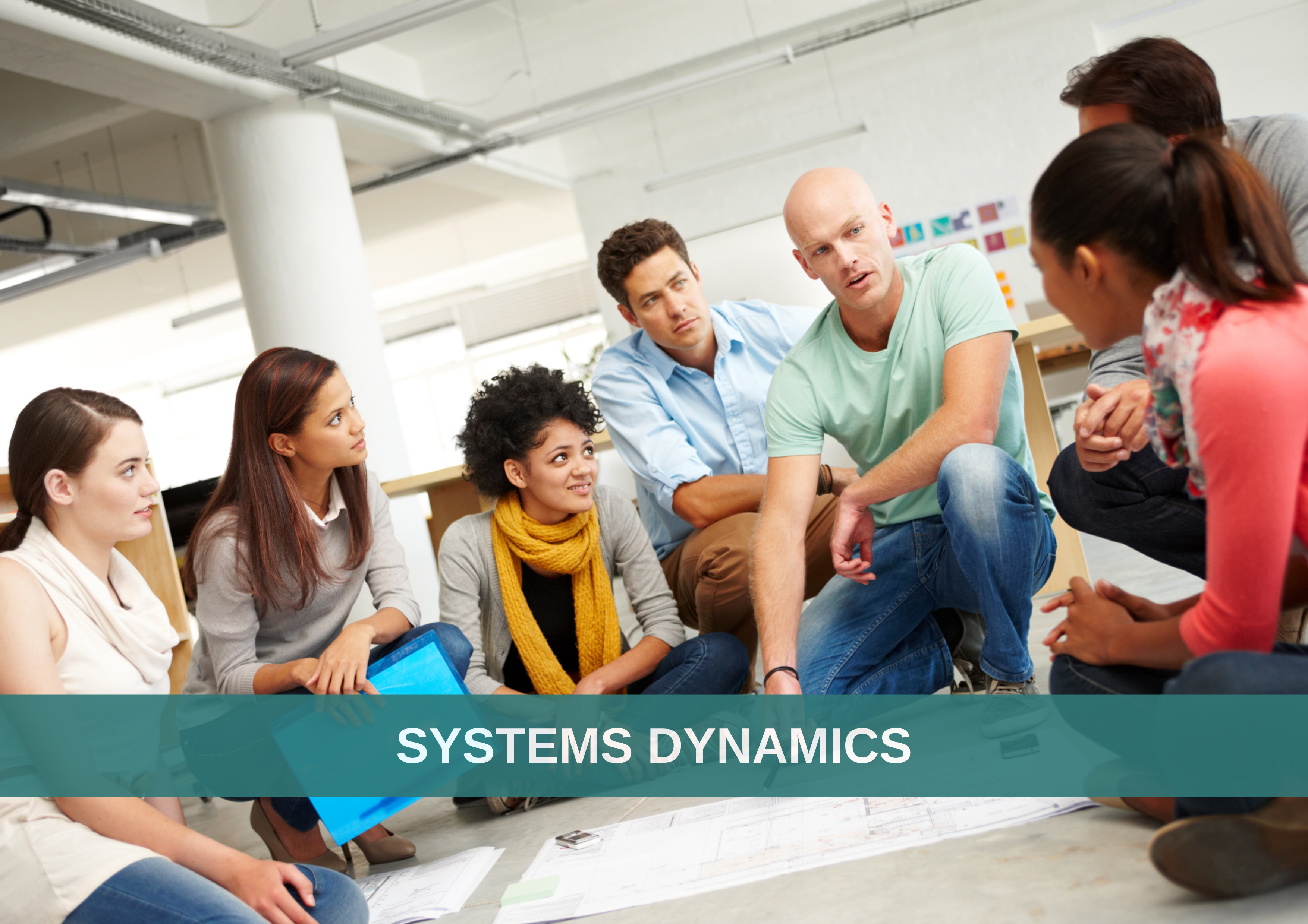 Systems Dynamics
