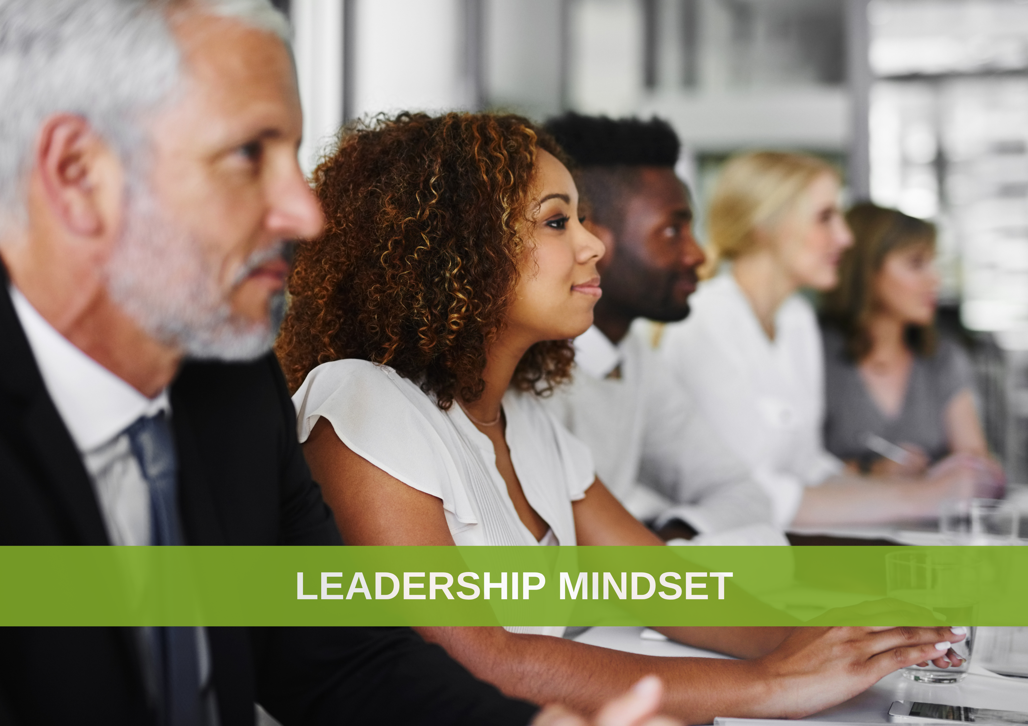 Leadership Mindset