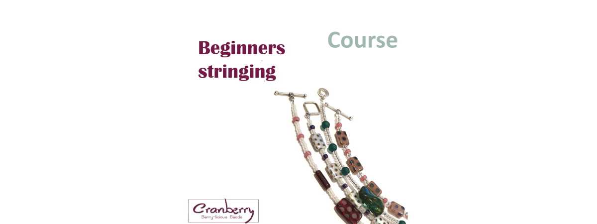 Deep Stringer Course Learn With Cranberry