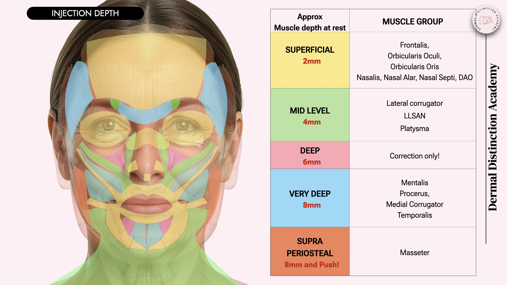 Diagram showing approximate injection depths and facial muscle groups