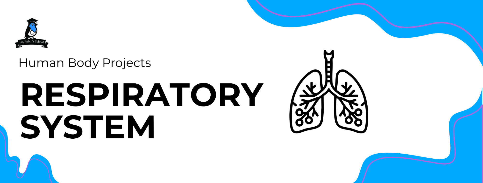Human Body Projects: The Respiratory System