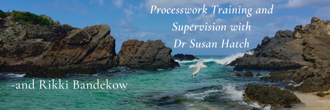 Processwork Training and Supervision Group 2026