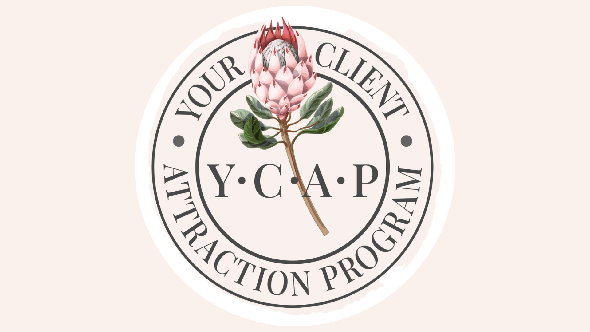 Client Attraction ~ Henriette Danel Coaching