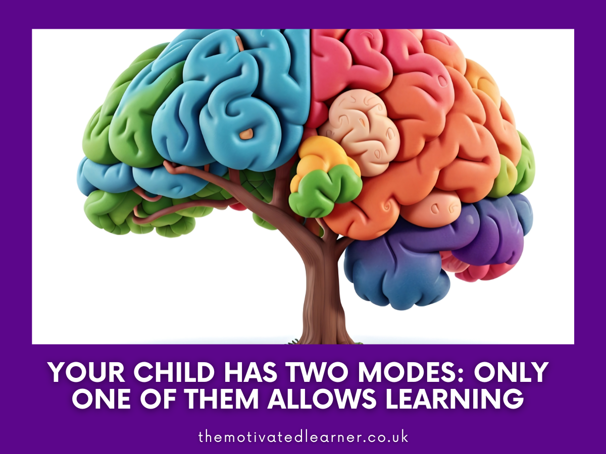 Your Child Has Two Modes: Only One Allows Learning | Safe vs Survival