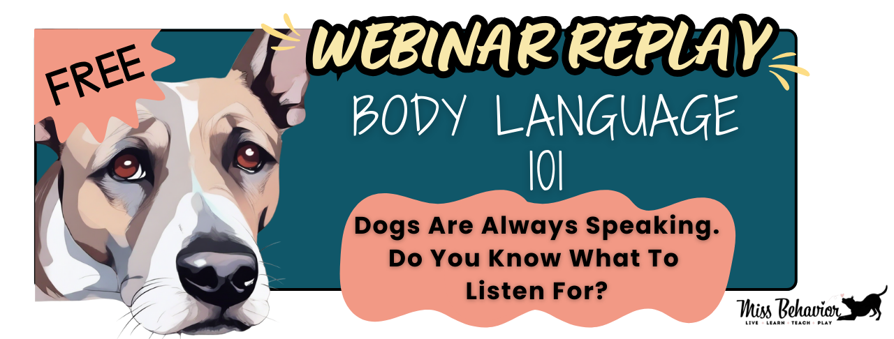 Body Language 101