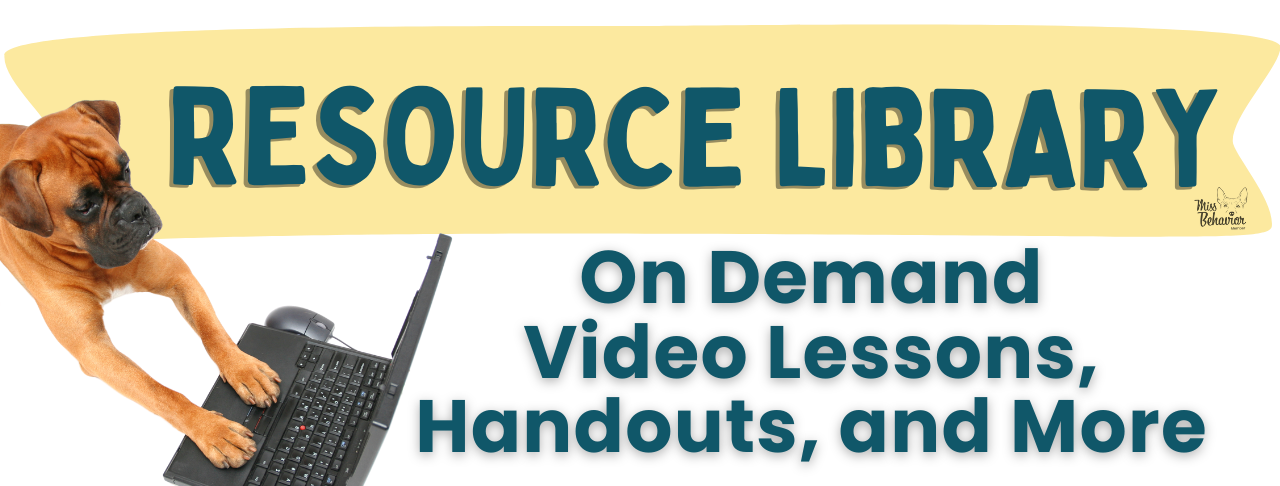 Member Resource 🐶 The Virtual Library