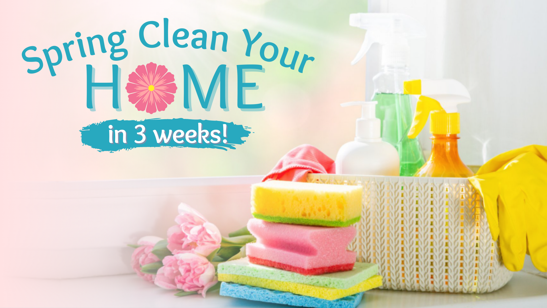 Spring Clean Argos Spring Clean Your Home! Catch Up Now