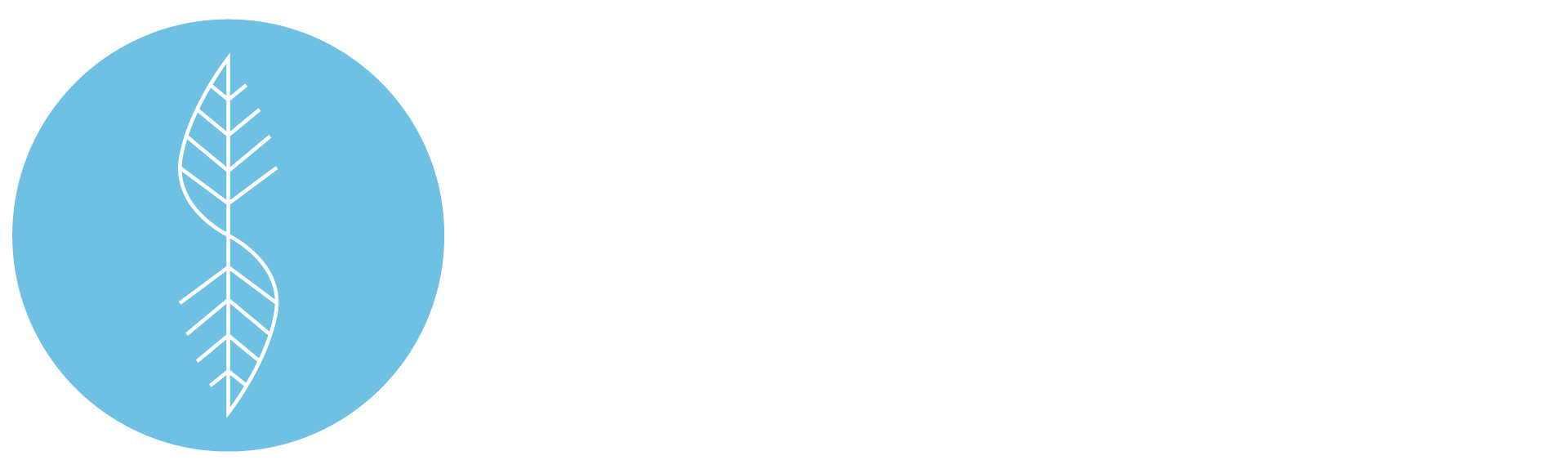 Point of Balance