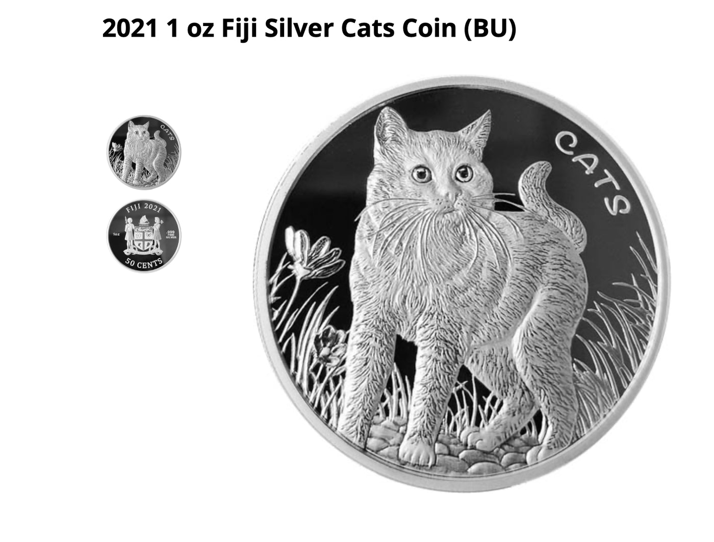 Coin Cat Collection Collecting Cat Coins? -It's Possible