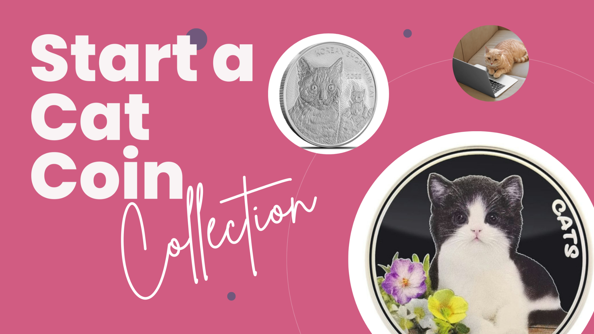 Coin Cat Collection Collecting Cat Coins? -It's Possible
