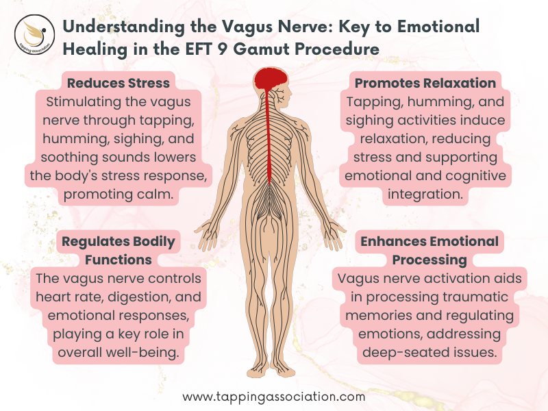 9 Gamut Point Procedure: A Powerful Technique For Trauma