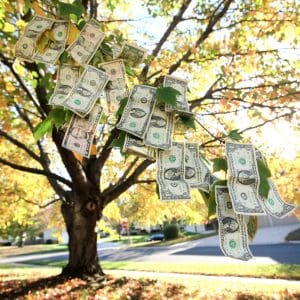 Money Tree Ripped Up Healing Money Trauma: Reclaim Your Financial Destiny with EFT Tapping