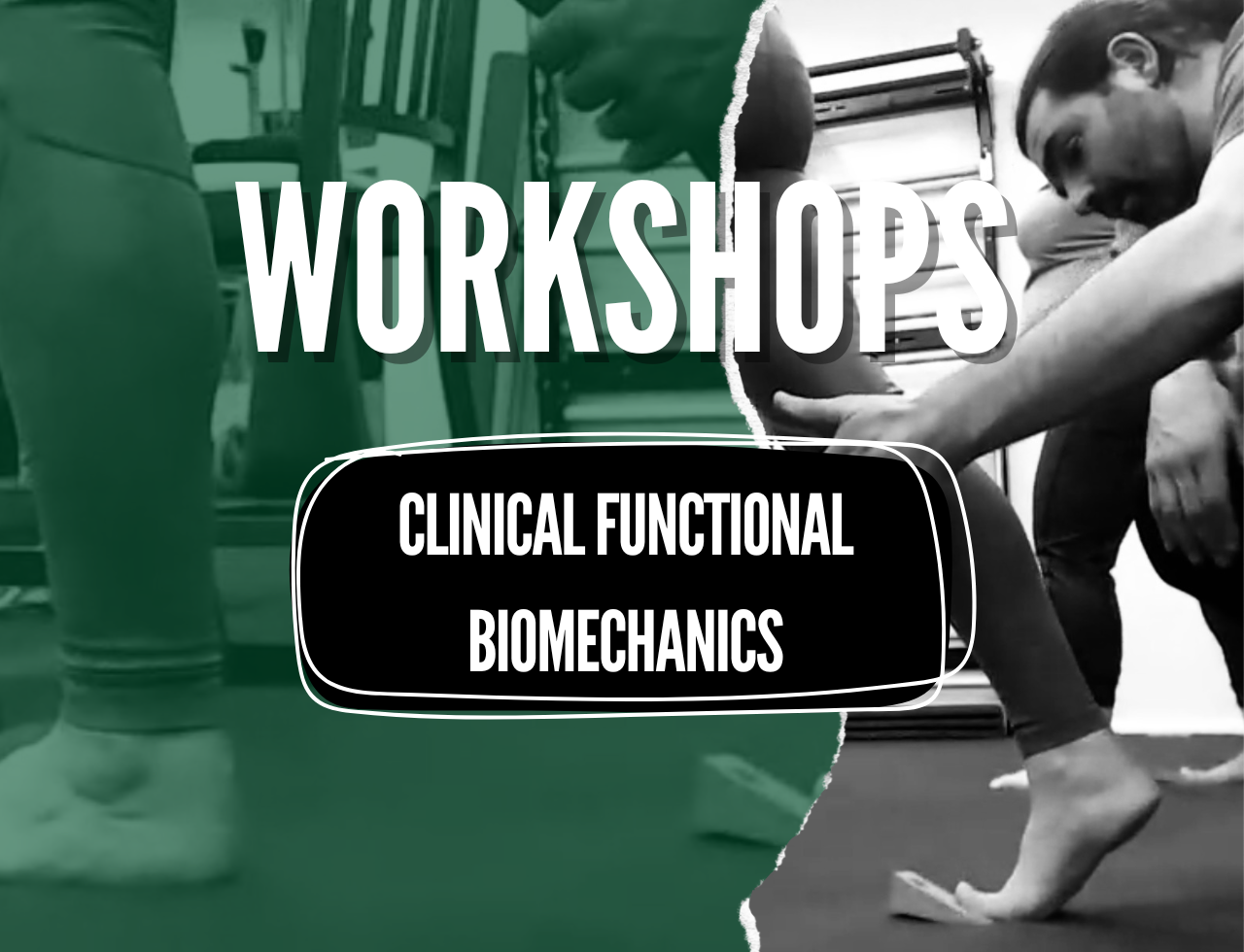 Learn Biomechanics and Movement Therapy at The Body Lab