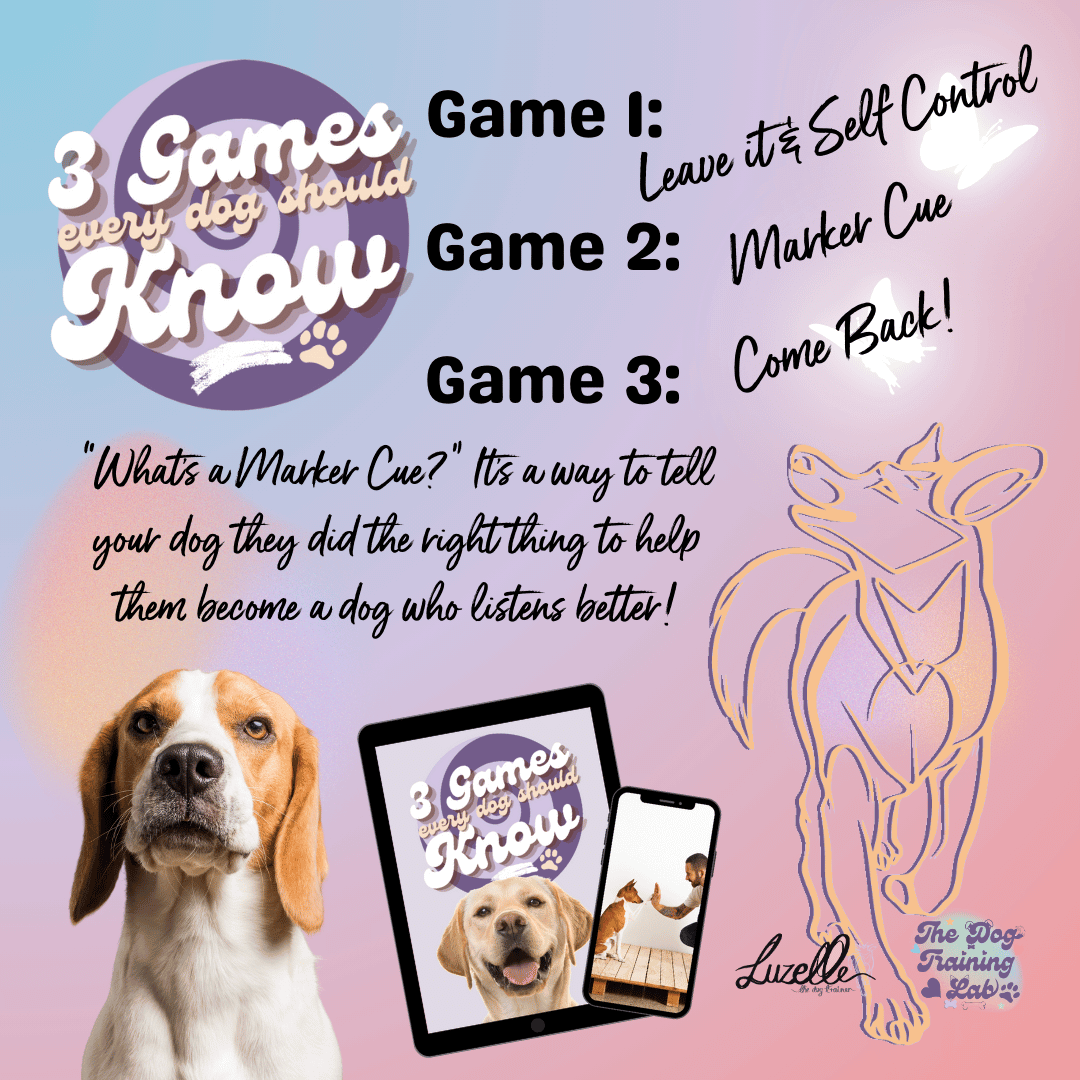 The Dog Training Lab