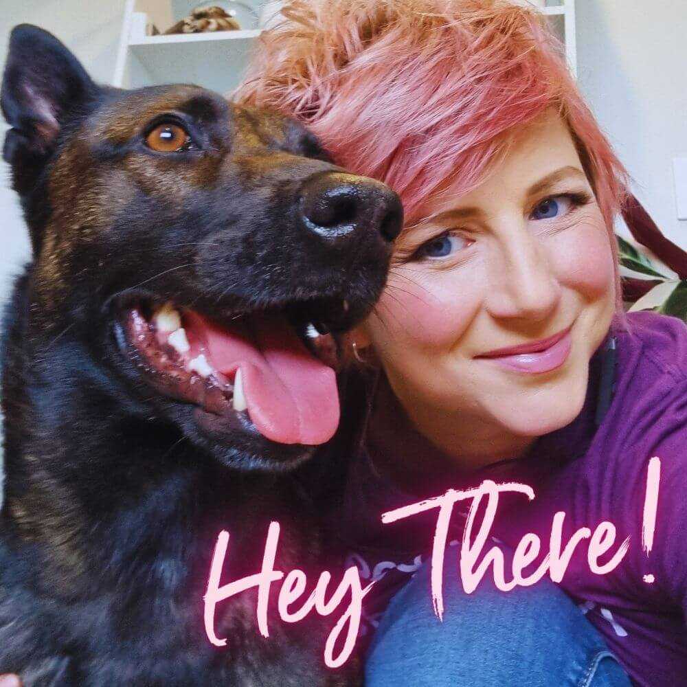 The Dog Training Lab