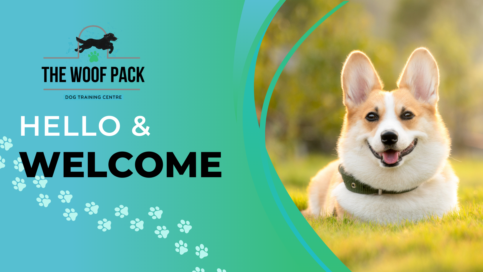 The Woof Pack Foundation Classes the-woof-pack-foundation-classes