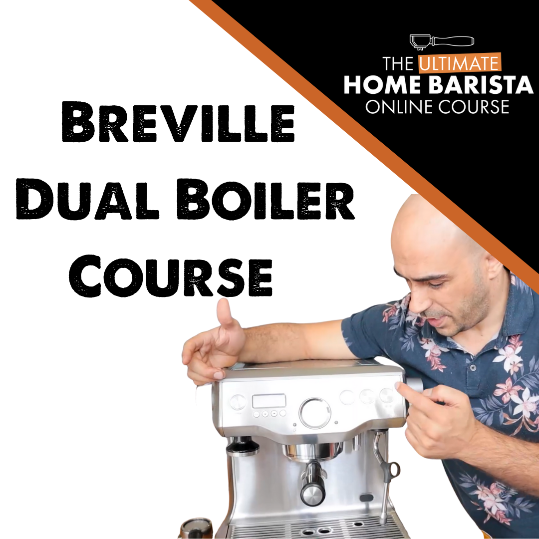 Module Barista Breville Dual Boiler course