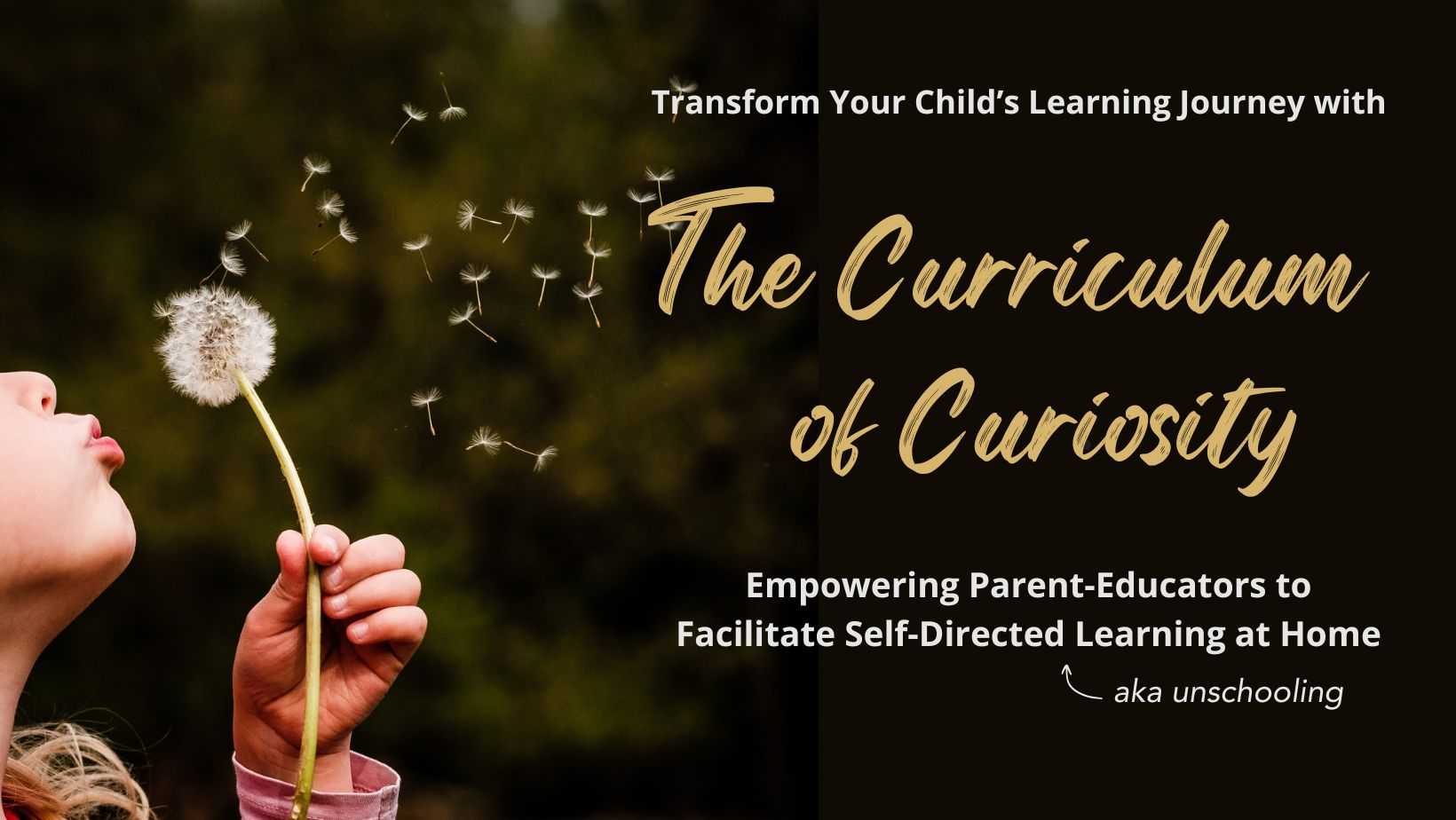 The Curriculum of Curiosity
